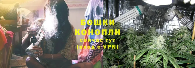 МАРИХУАНА White Widow  гидра зеркало  Гатчина 